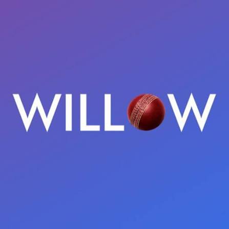 Willow